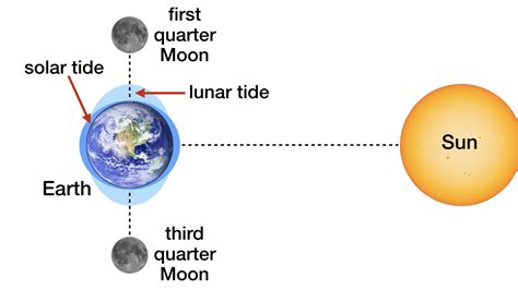 Solar And Lunar Tides Designed For Complex Life Reasons To Believe