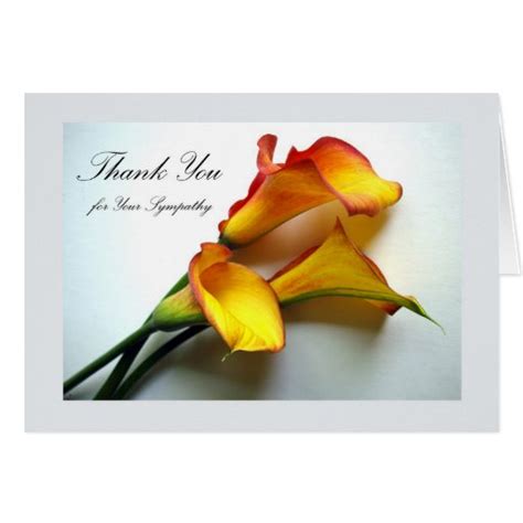 Thank You For Sympathy Calla Lilies Card Zazzle