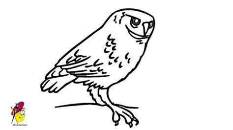 Easy drawing ideas for cool things to draw when you are bored. Owl - Easy Owl Drawing - how to draw an owl - YouTube