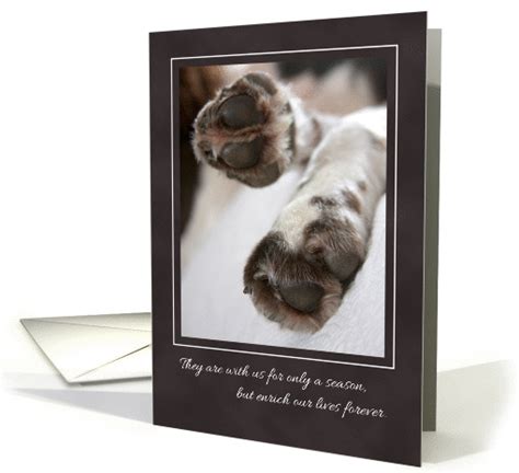 Loss of pet cards it takes two inc. Sympathy Loss of Pet, Dog Paws card (1313840)