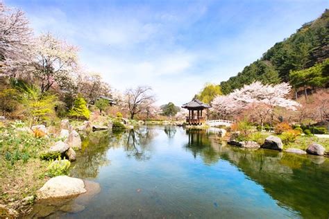 The Garden Of Morning Calm Gapyeong Gun Aggiornato 2020 Tutto