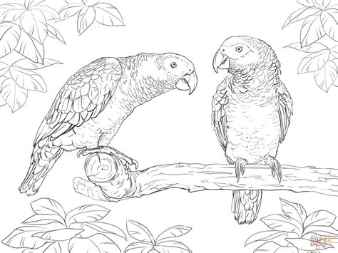 Background with parrot icons in line style and place for text. Two African Grey Parrots coloring page | Free Printable ...