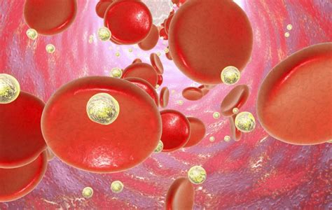 Leukocitarna Formula U Krvnoj Slici Je Jedan Od Najvažnijih Parametara