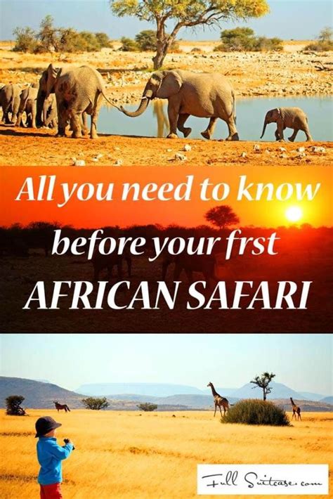 All You Need To Know Before Your First African Safari Kenya Africa