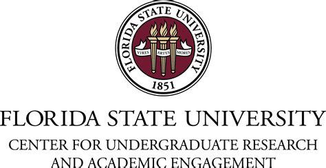 Fsu Logo Click On Design To Understand The Structure Of Our
