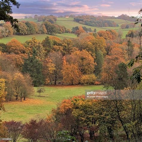 Autumn Overcast Day High Res Stock Photo Getty Images