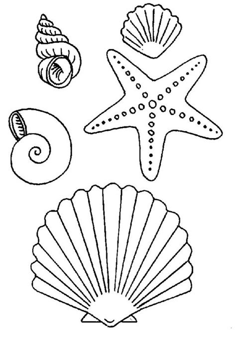 Right now, we advise sea shells coloring pages for you, this content is related with free grandparents day coloring pages. Many Types of Seashells and Starfish Coloring Page ...