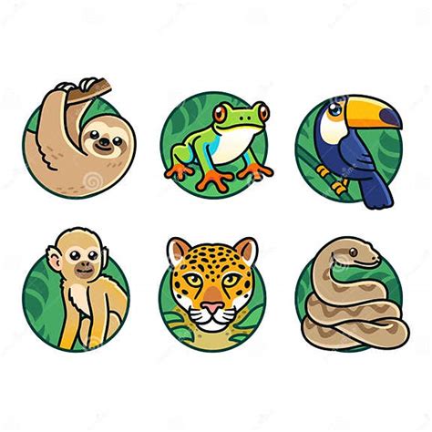 Cartoon Rainforest Animals Set Stock Vector Illustration Of Comic