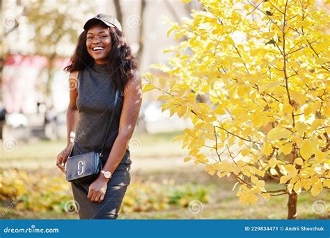 Stylish African American Girl Africa Model Woman Stock Image Image Of Adult Healthy 229834471