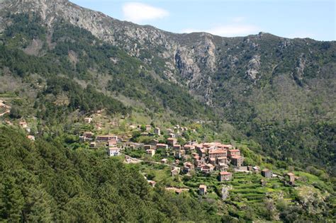 Rosazia Vi1a Corse Corsica Wikimedia Commons In 2023 Corsica