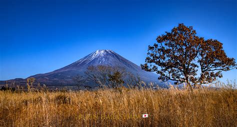 Visiting Mt Fuji Japan Photography Nature Workshop When Will Japan