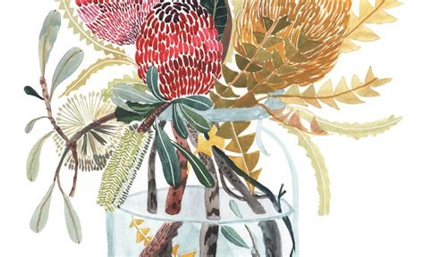 australian botanical art print watercolour flowers by sally etsy canada botanical art art