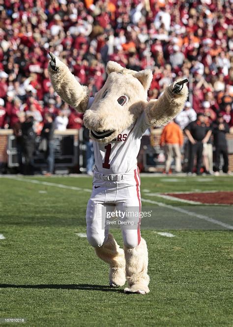 Oklahoma Sooners Mascot Sooner Celebrates During The Game Against The