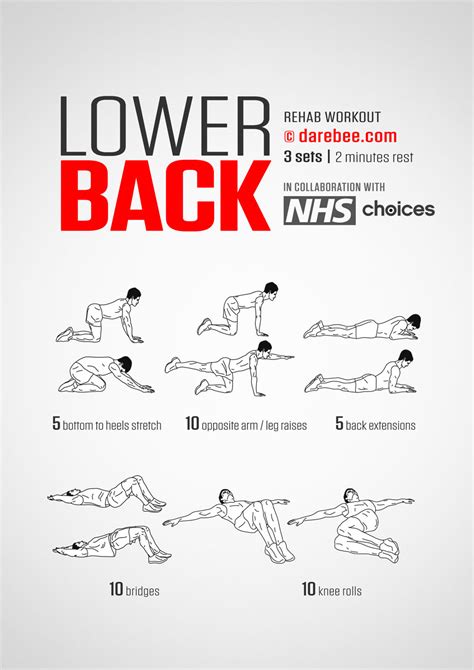 5 Day Lower Back Workout No Equipment For Beginner Fitness And