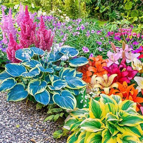 How To Choose The Right Annuals And Perennials For Planting A Garden