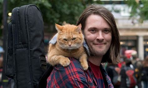 A street cat named b. 'A Street Cat Named Bob' to shoot in London from Oct 25 ...
