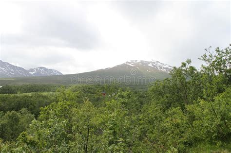 Lyngen Alps Norway Stock Photo Image Of Grass Hill 96071504