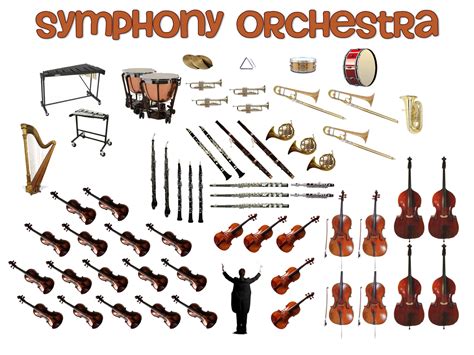 Instruments Of The Orchestra Lessons Blendspace