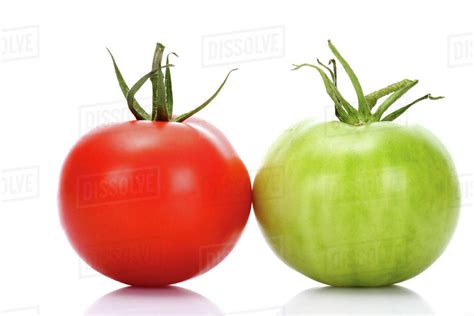 Red And Green Tomato Close Up Stock Photo Dissolve