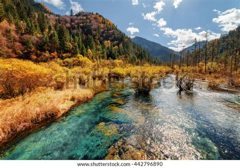 Foto De Stock Sobre Scenic River Crystal Clear Water Among Editar