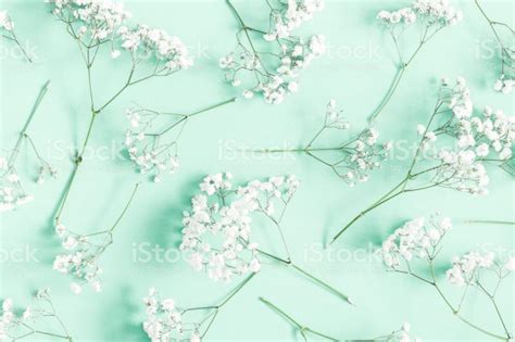 Free Download 2560x1440 Mint Solid Color Background 2560x1440 For