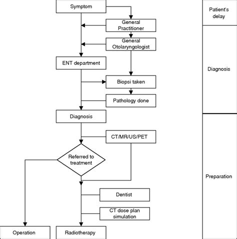 A Graphical Presentation Of A Typical Patient Flow Through The Health Download Scientific