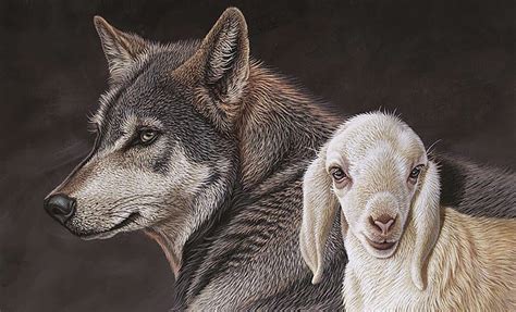 The Meaning Of The Wolf And The Lamb Bible Matrix