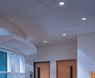 They are recognised as a premier acoustical panel and specialty ceilings innovator by providing creative building solutions. Acoustic Panels & Ceiling Tiles | USG Boral