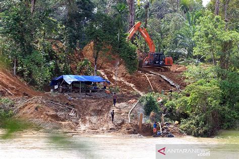 Walhi Desak Pemerintah Tertibkan Tambang Emas Ilegal Di Aceh Barat
