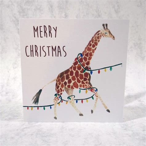 Christmas Card Giraffe Christmas Card Giraffe Tangled In Lights Card
