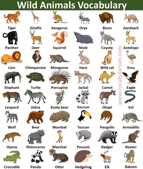 Wild Animals Picture Vocabulary Animals Name In English Wild Animals