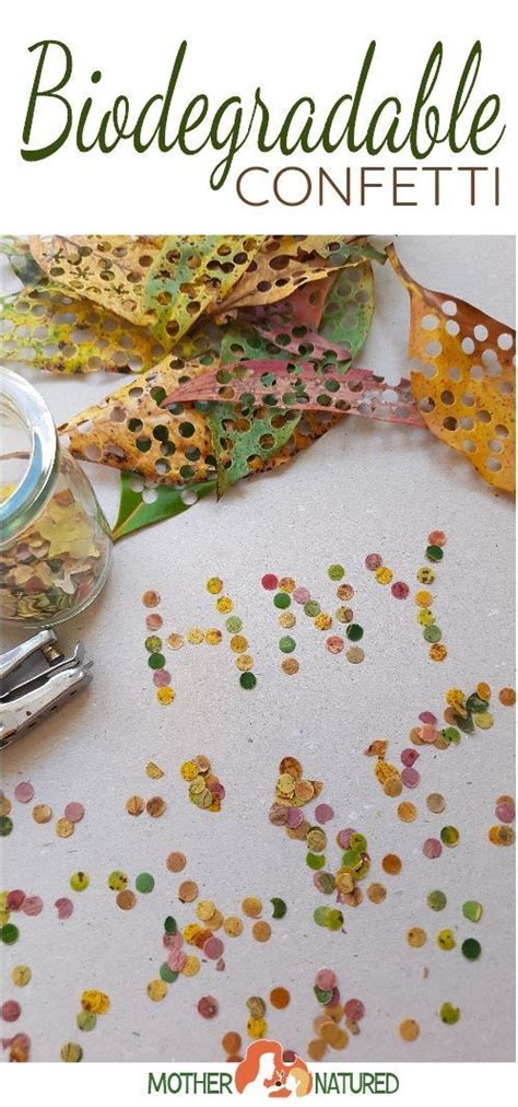 Diy Biodegradable Confetti For Eco Friendly Celebrations