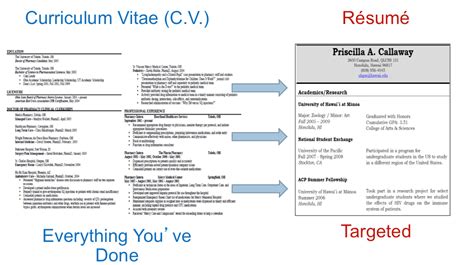 Meski curriculum vitae (cv) dan resume terlihat sama, tetapi keduanya memiliki perbedaan mendasar. Curriculum Vitae and Resume | Pre-Health