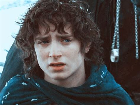 Elijah Wood The Hobbit Lord Of The Rings Frodo Baggins