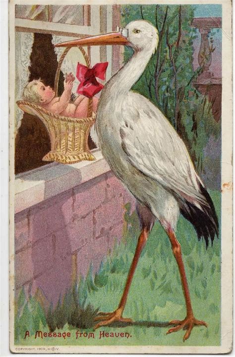 antique stork  babies postcards images  pinterest baby