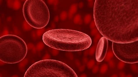 Blood Plasma And Longevity Plasma Received From Young People May Have