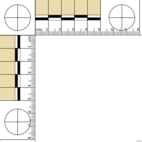 Ruler Clipart Printable Ruler Printable Transparent Free For Download