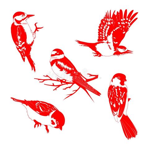 Vector Illustration Of Red Birds On White Background Stock