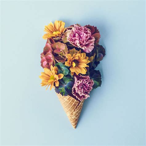 Contemporary Photo Of Fresh Flowers In Ice Cream Cone Still Life Flower Art Flower Photos