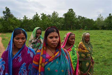These Village Women In Odisha Fight Timber Mafia Reclaim Lost Forests