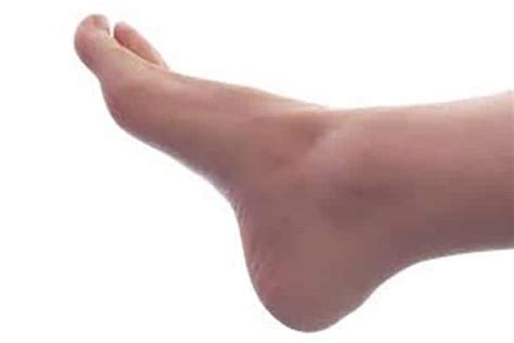 Muscle And Joints Foot Focus Podiatry Perth Podiatrists