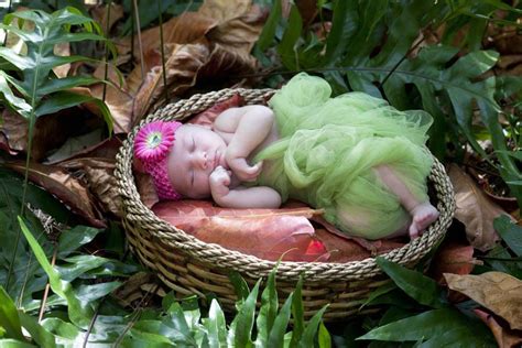 Island Babies Oahu Newborn Photography Newborn Baby