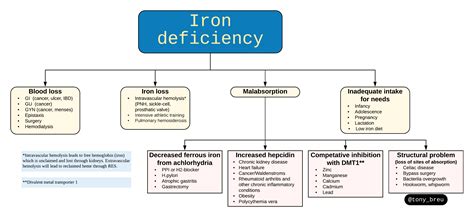 Causes Of Iron Deficiency Differential Diagnosis Grepmed
