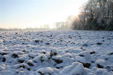 무료 이미지 경치 바닥 아침 서리 날씨 시즌 눈보라 첫 눈 동결 눈 덮힌 땅 얼음이 많은 겨울