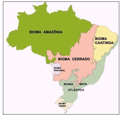 Biomas Brasileiros Biomas Geografia Bioma Brasileiro