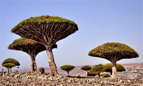 12 Of The Worlds Strangest Natural Wonders