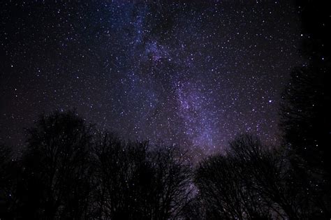 Wallpaper Forest Night Galaxy Sky Stars Nebula Atmosphere