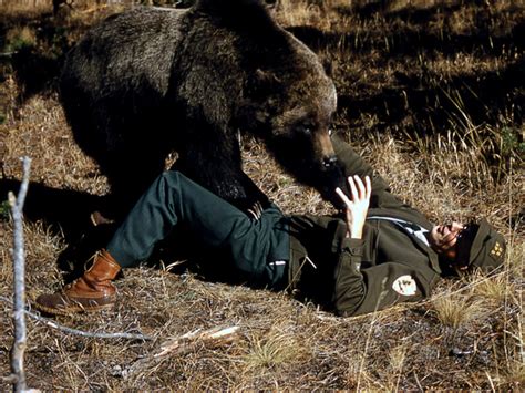 Grizzly Bear Attack Victims Photos