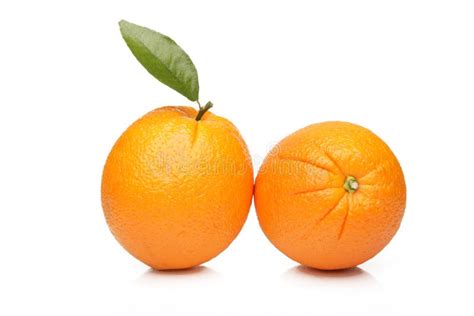 Oranges Isolated On White Background Stock Image Image Of Fruit