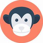 Monkey Icon Icons Animals Circus Flaticon